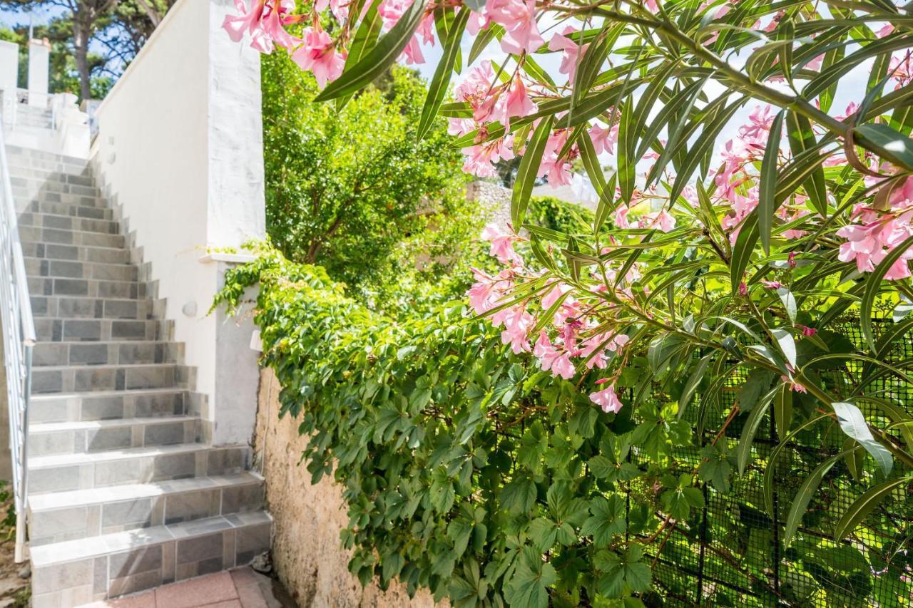 Apartment Eulalija Dubrovnik Dış mekan fotoğraf